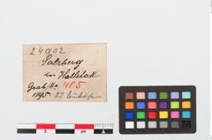 Etiketten zu Bronzeknopf (NHMW-PRAE-024902)
